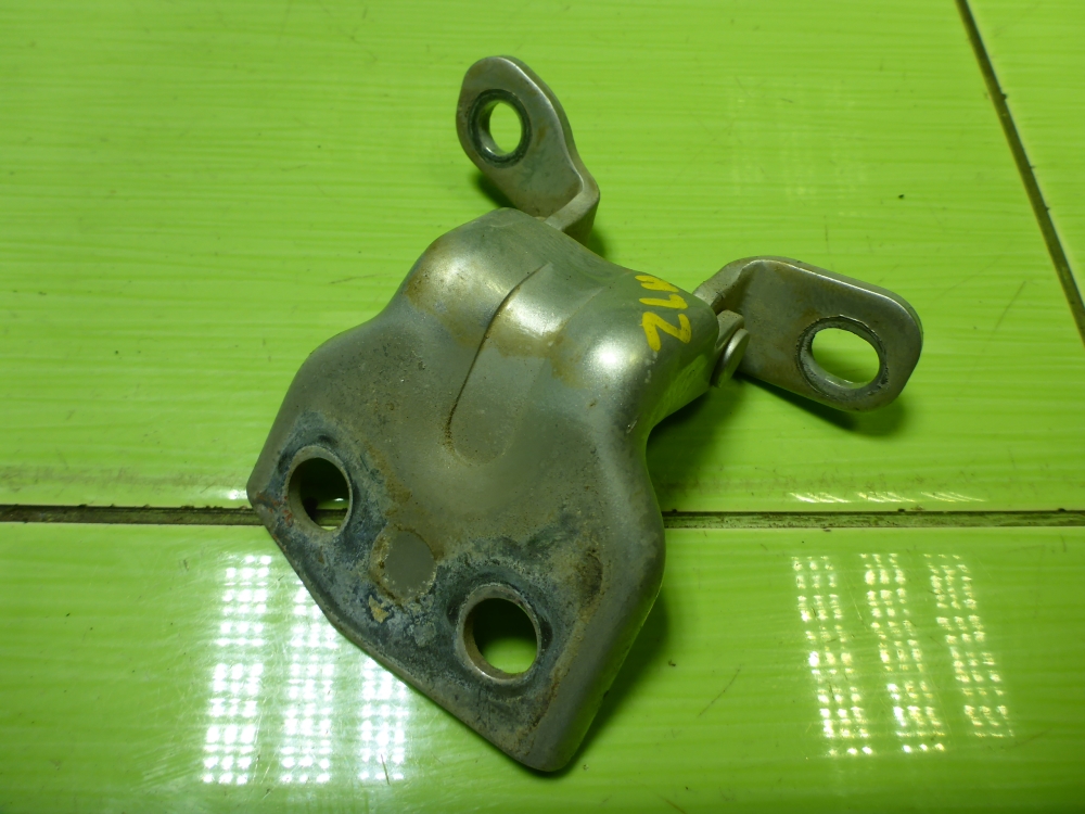 Петля двери задней левой нижняя