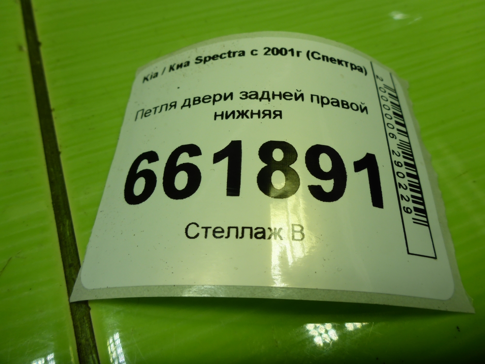 Петля двери задней правой нижняя