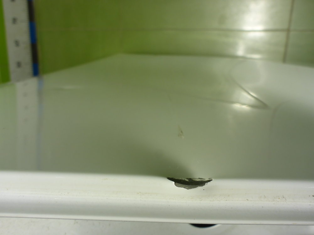 Дверь задняя левая