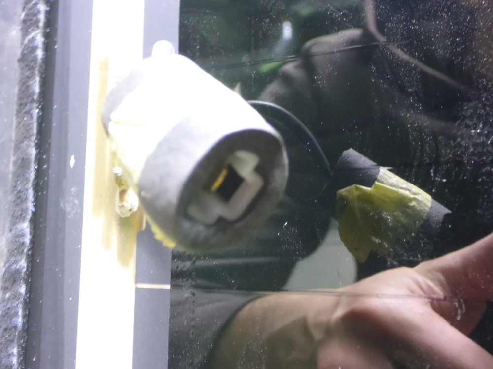 Стекло двери багажника