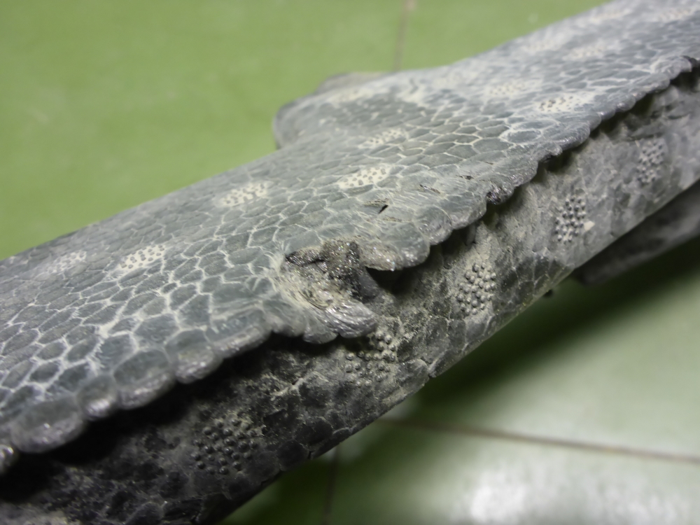 Наполнитель переднего бампера