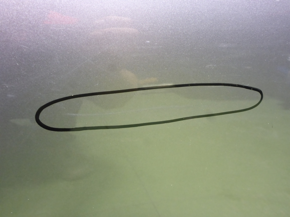 Дверь задняя левая