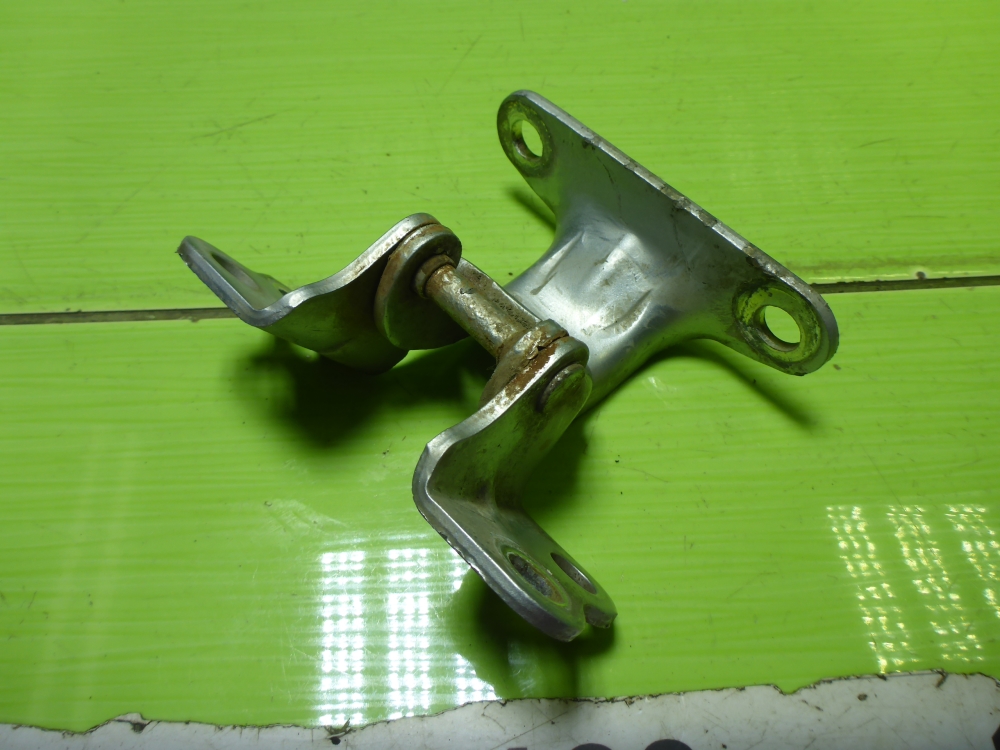 Петля двери передней левой нижняя