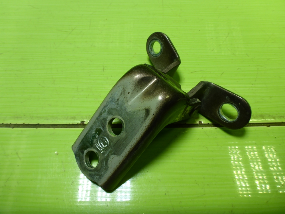 Петля двери задней левой нижняя