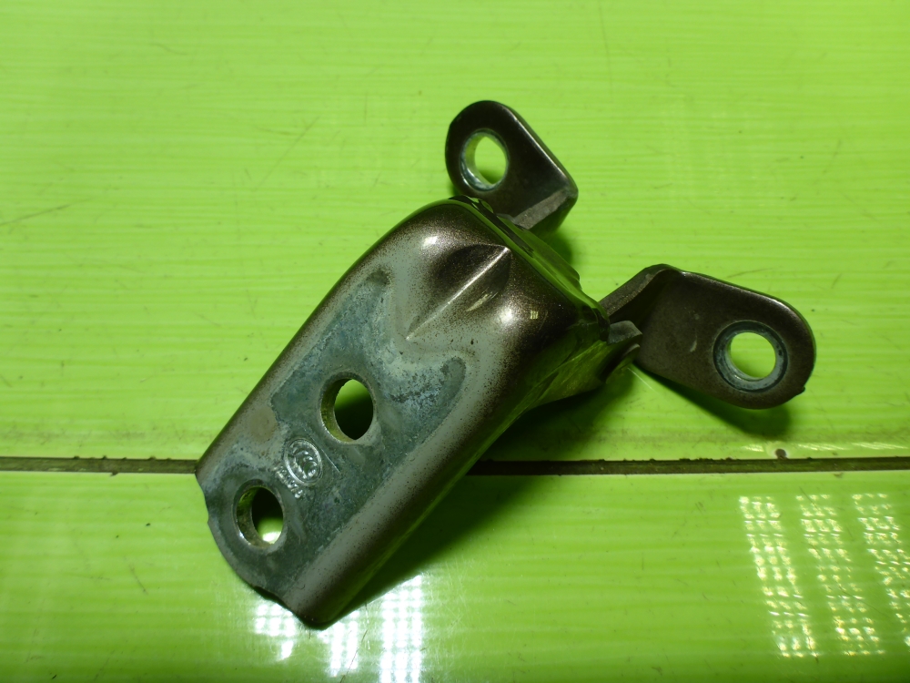 Петля двери задней правой нижняя