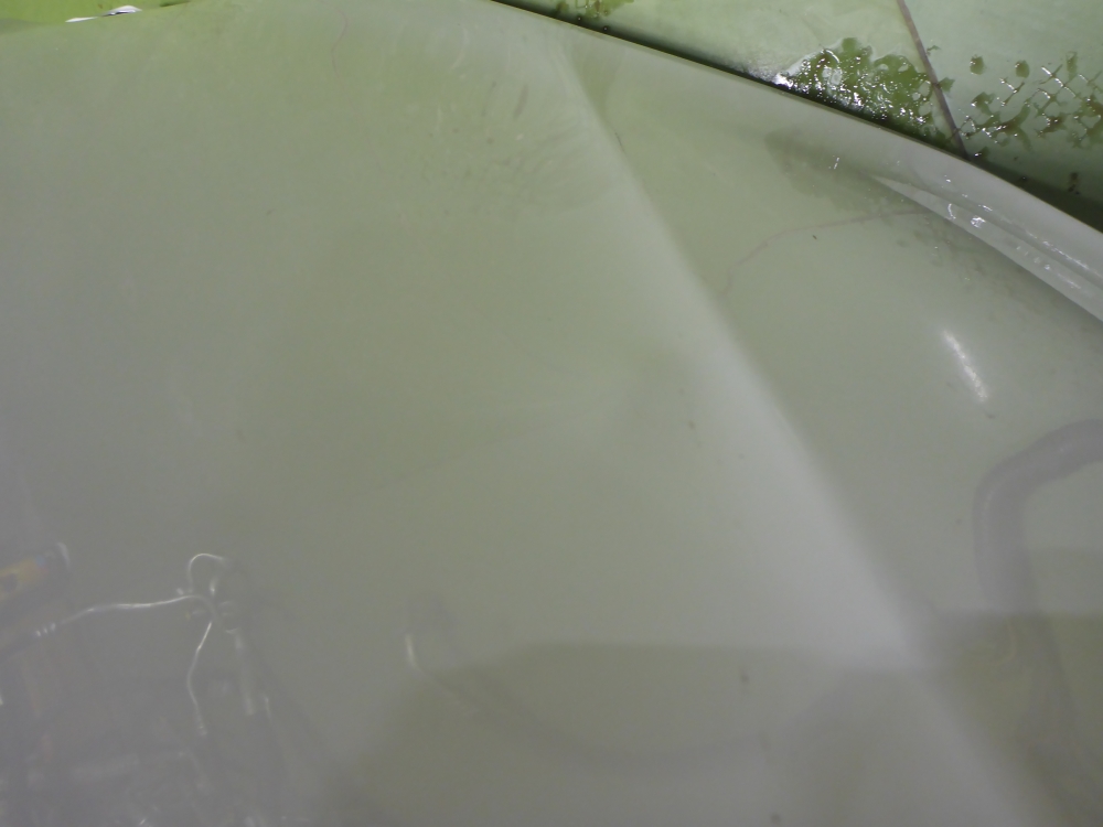 Дверь задняя левая