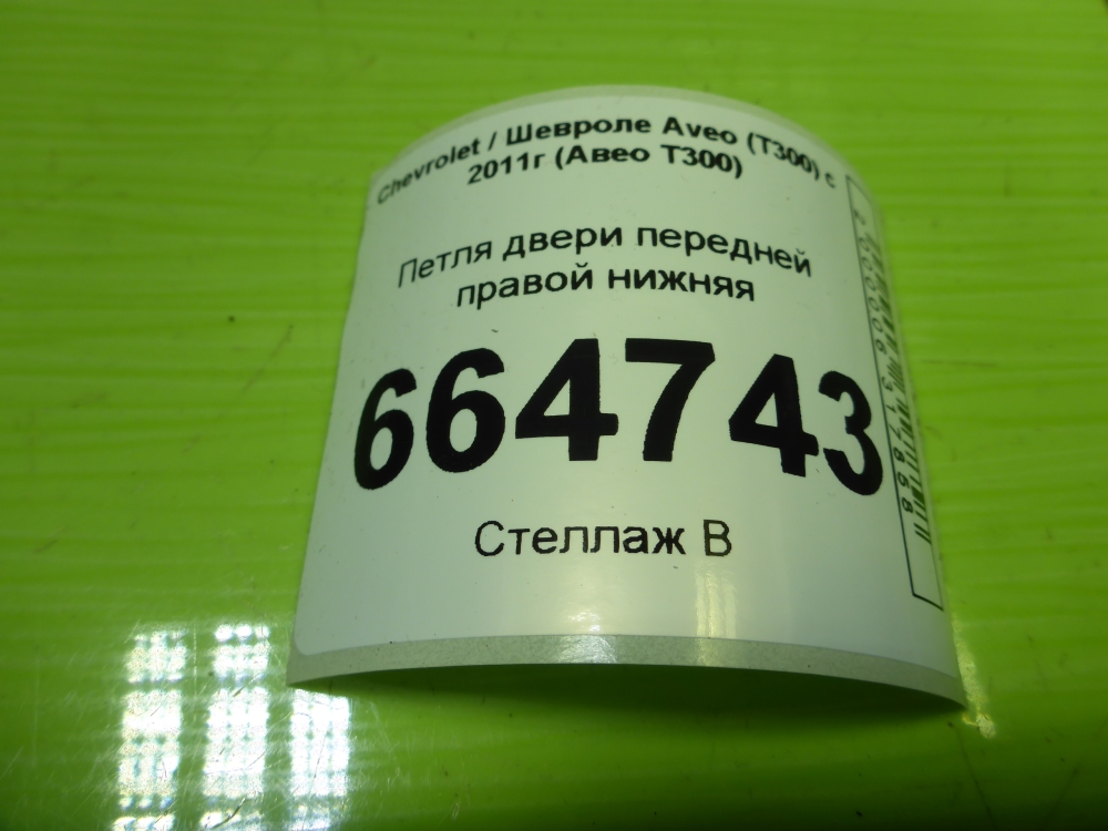 Петля двери передней правой нижняя