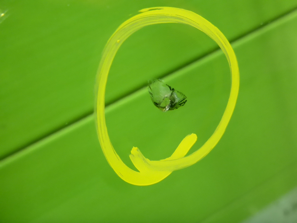 Стекло лобовое