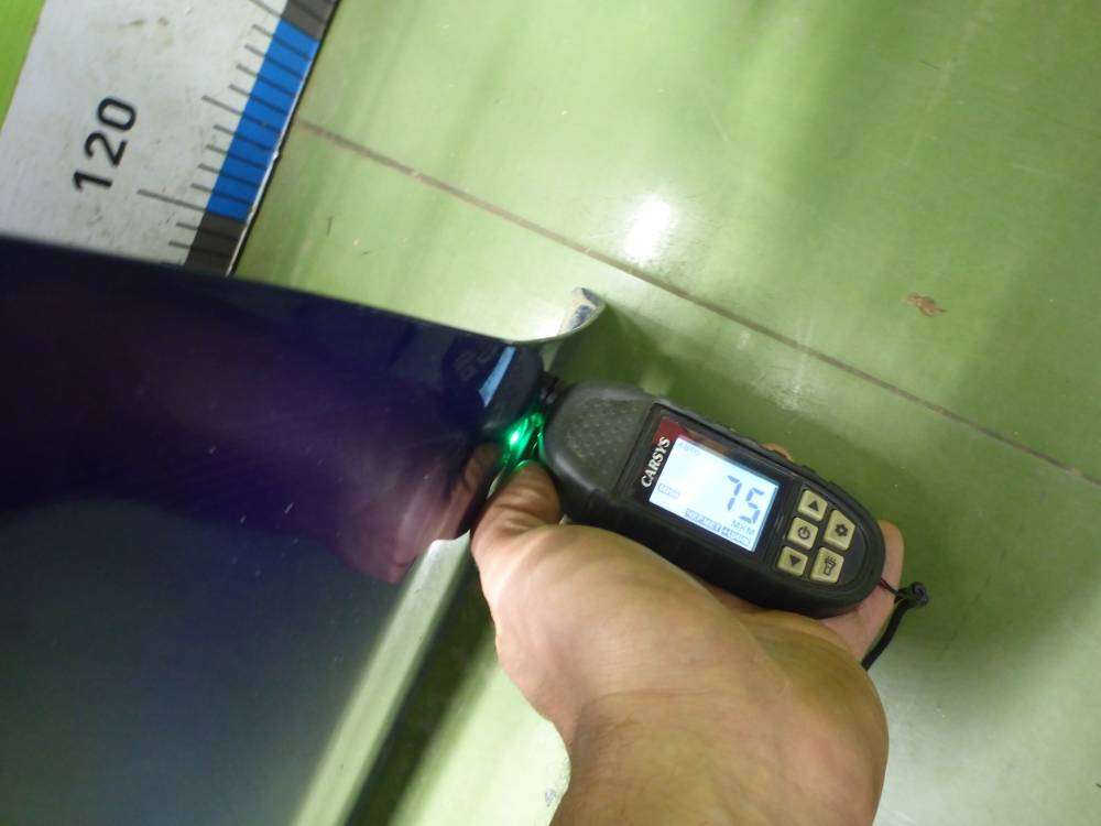 Дверь передняя левая