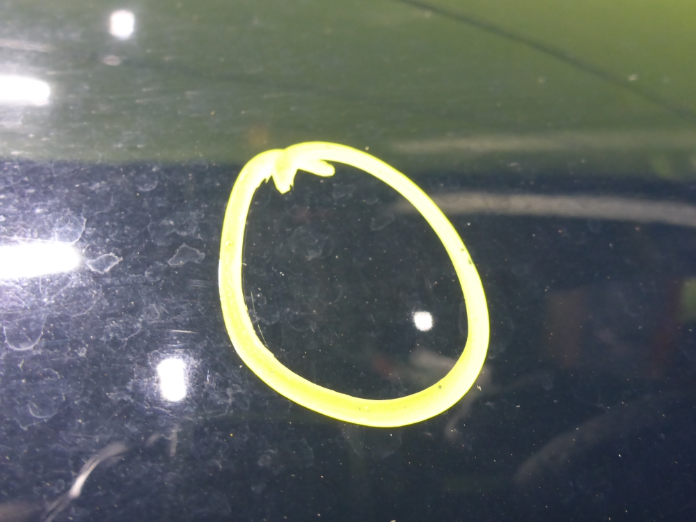 Крыло переднее правое