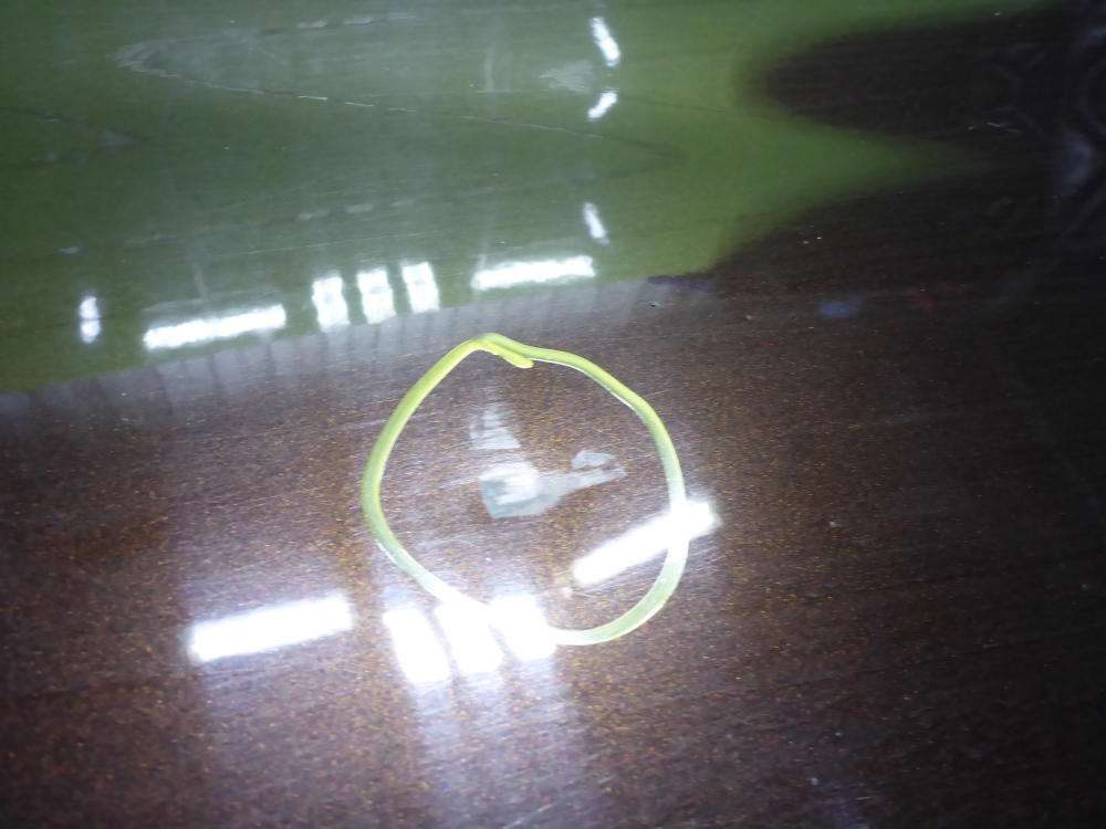 Дверь передняя левая