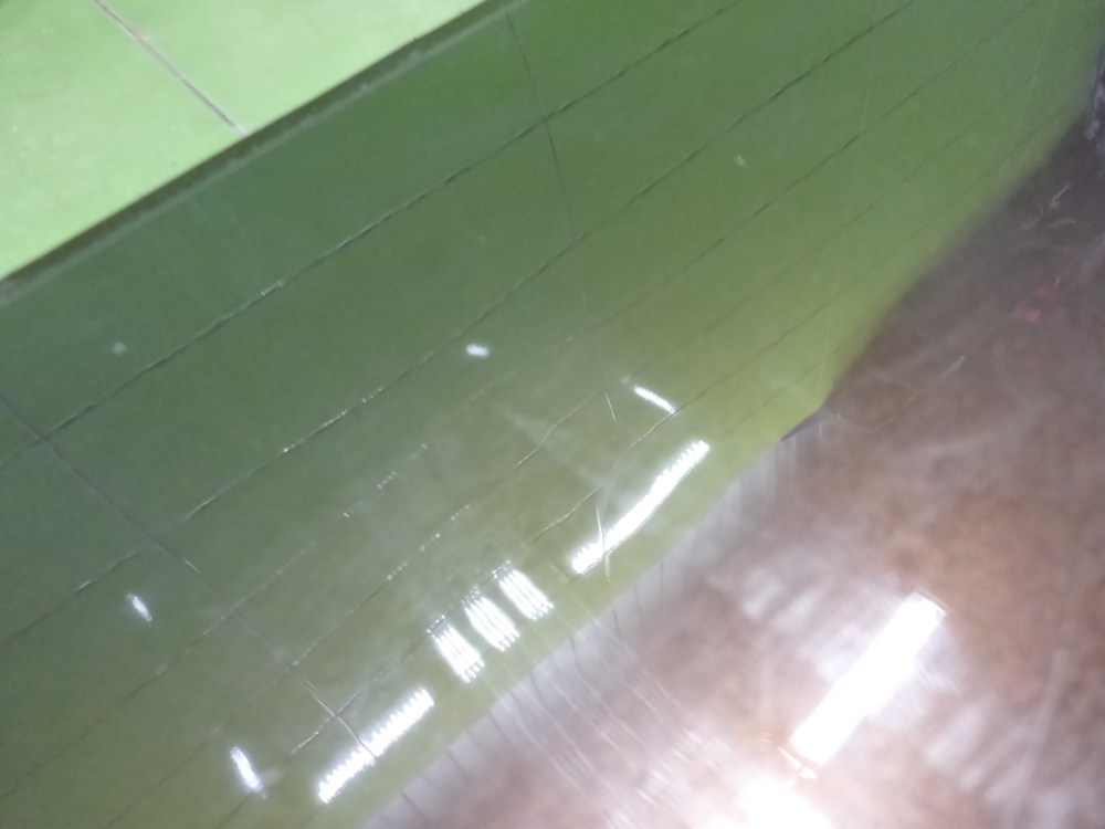 Дверь передняя левая