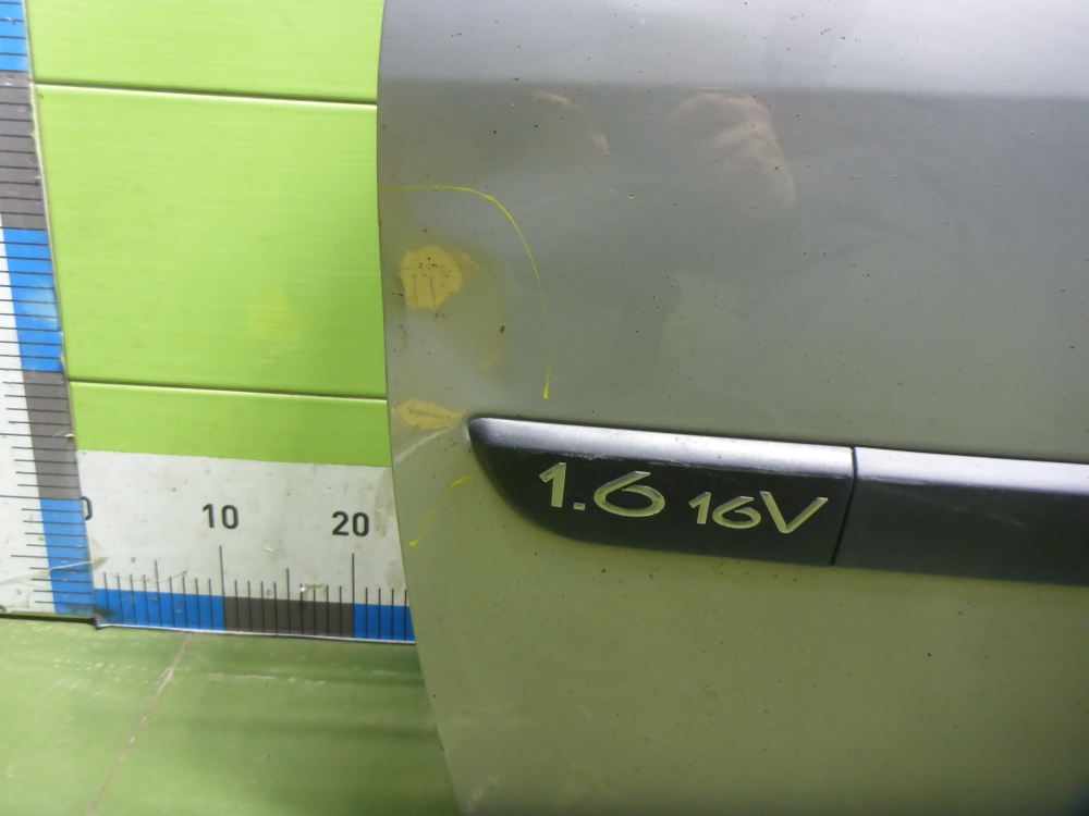 Дверь передняя левая