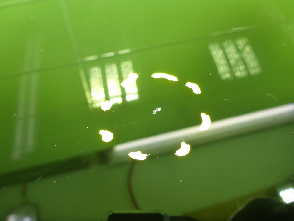 Стекло двери задней правой