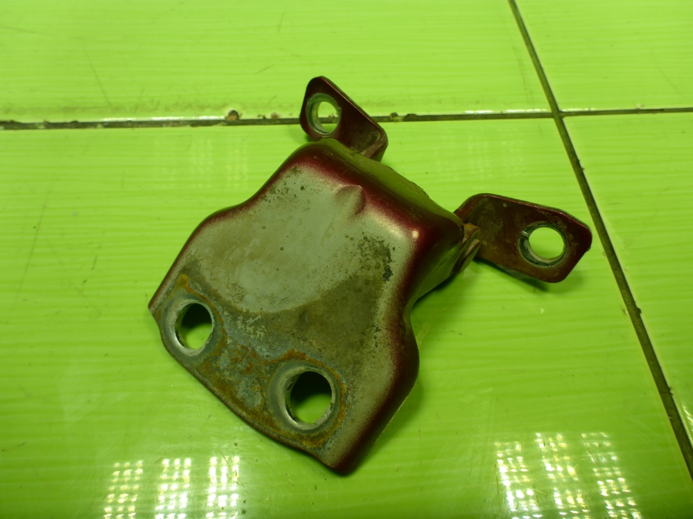 Петля двери задней правой нижняя