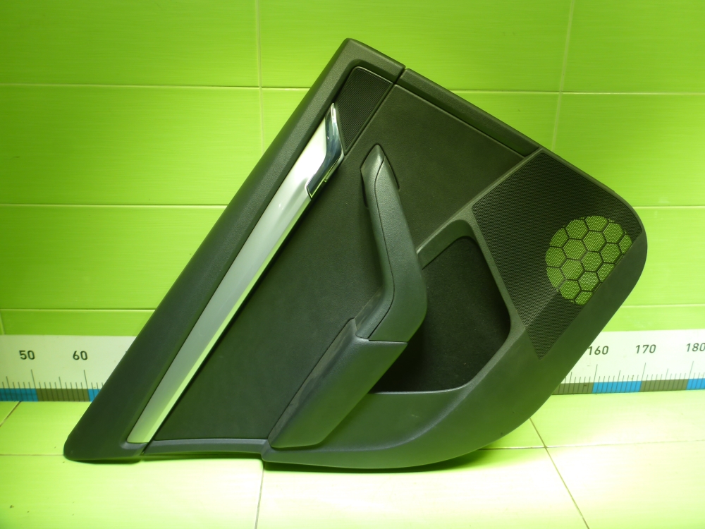 Обшивка двери задней левой