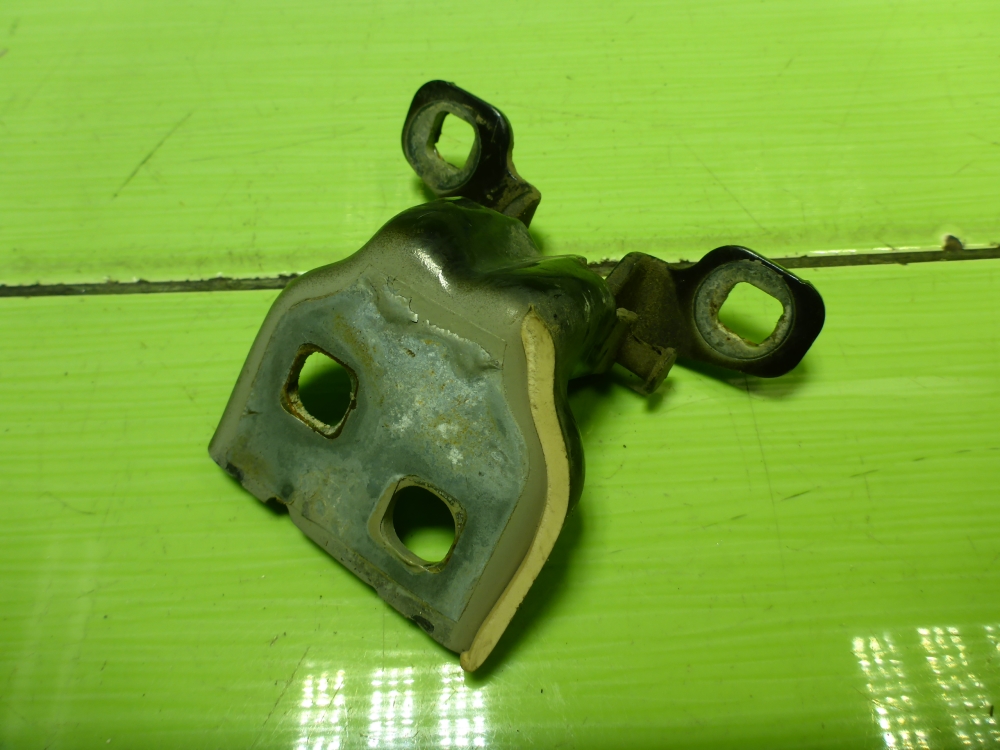 Петля двери передней левой нижняя