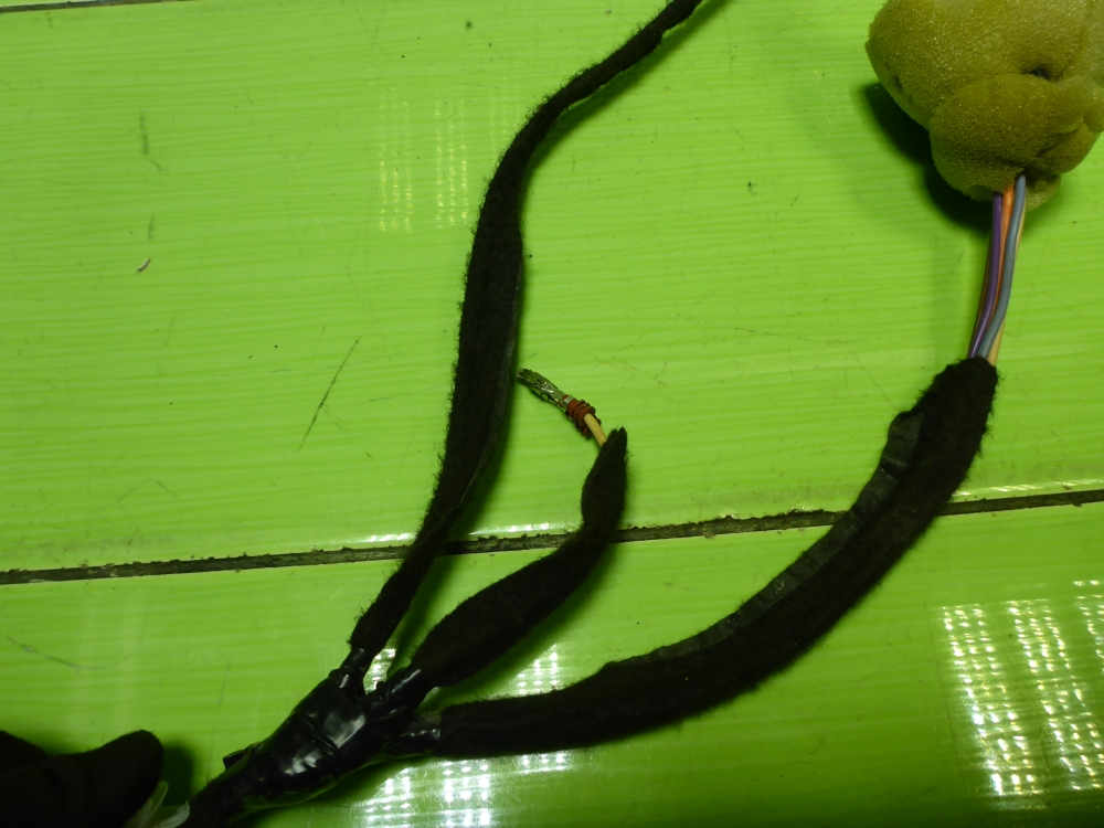 Проводка (коса)