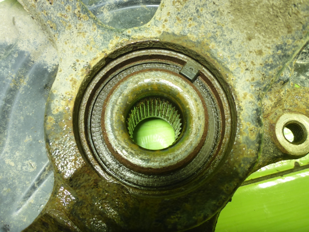 AP-0017385556 AP-0017385556