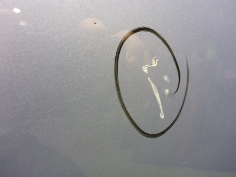 Дверь задняя левая