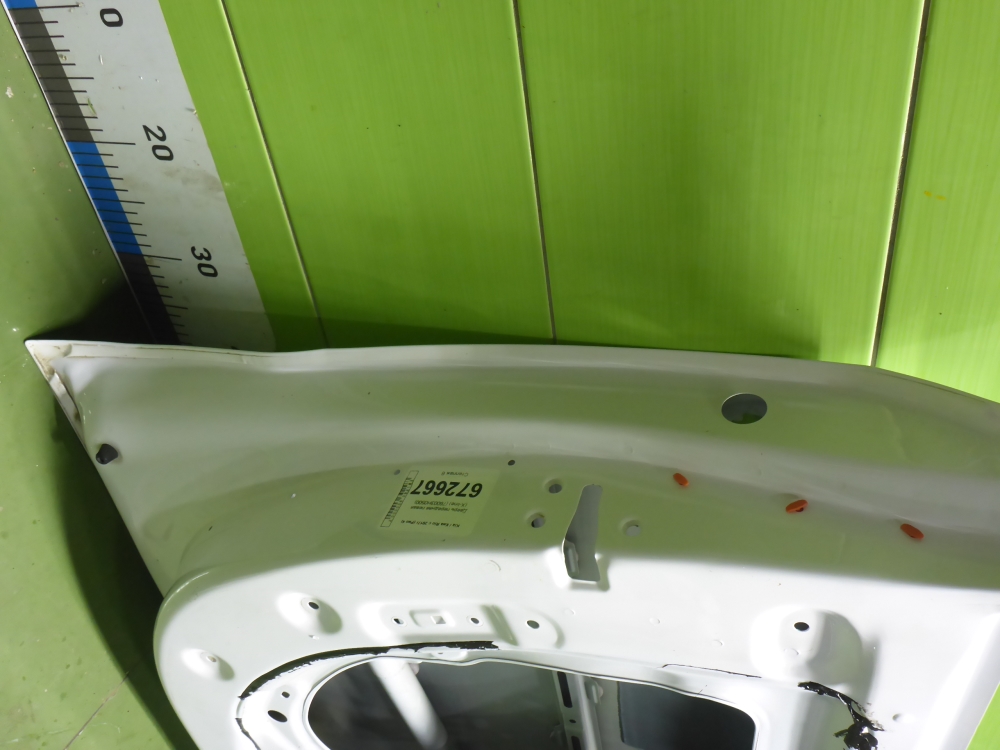 Дверь передняя левая