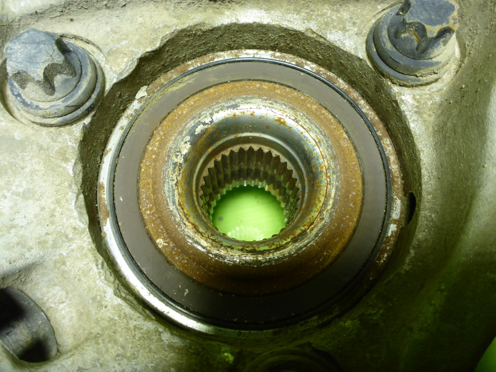 AP-0017486651 AP-0017486651