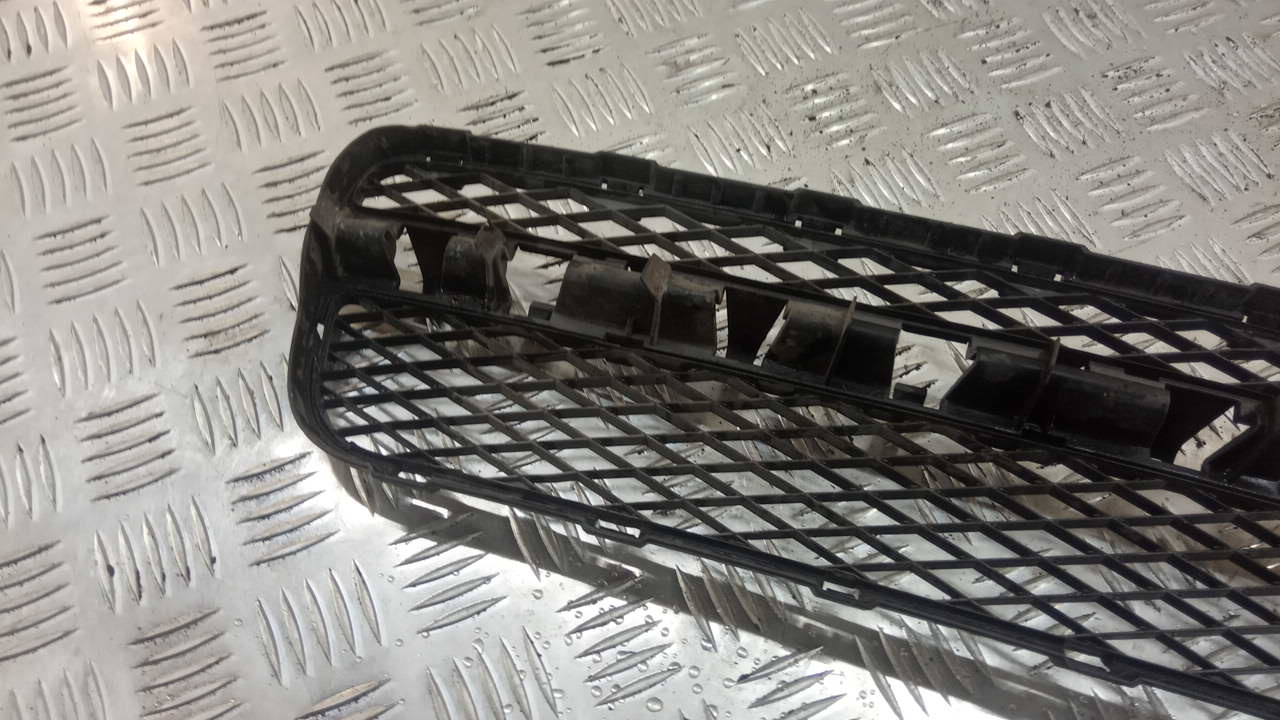 Решетка в бампер центральная