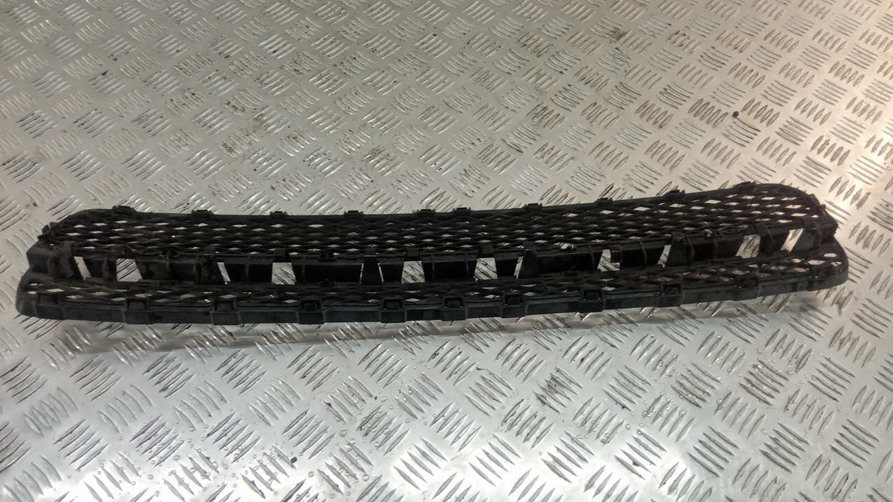 Решетка в бампер центральная