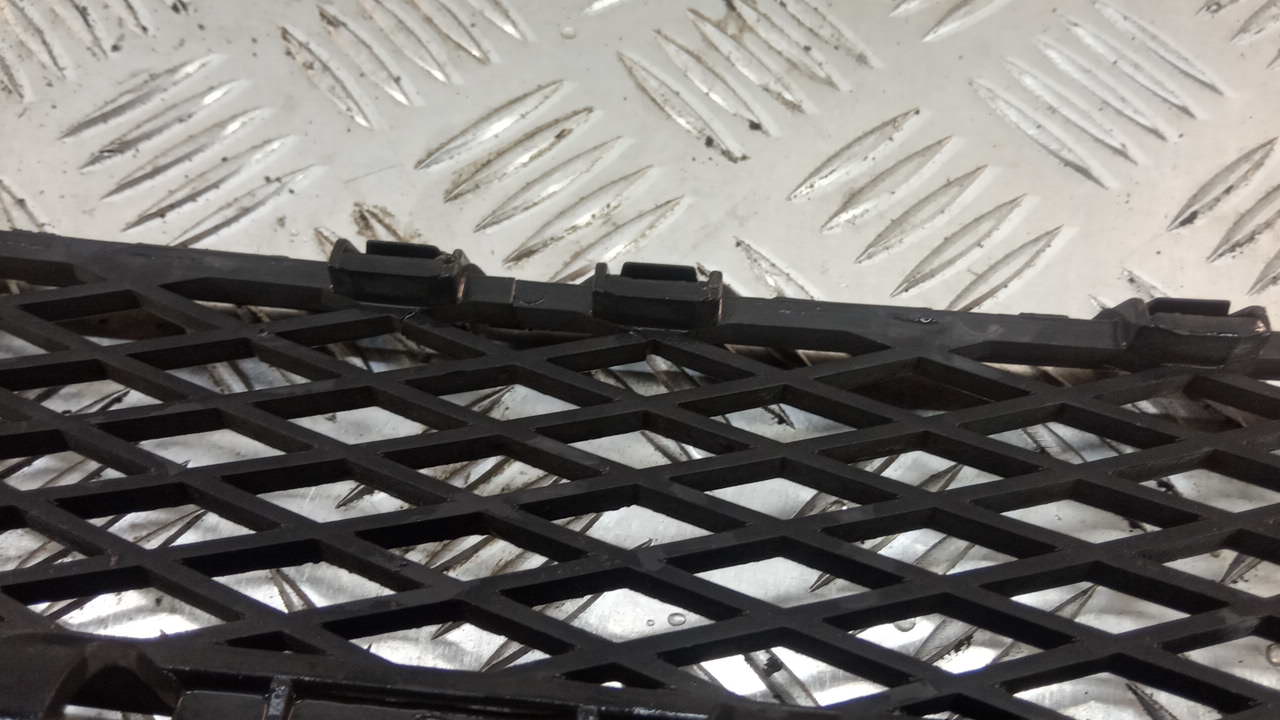 Решетка в бампер центральная