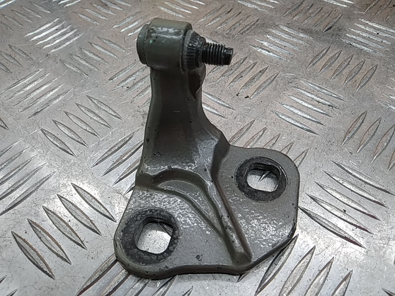 Петля двери передней правой нижняя