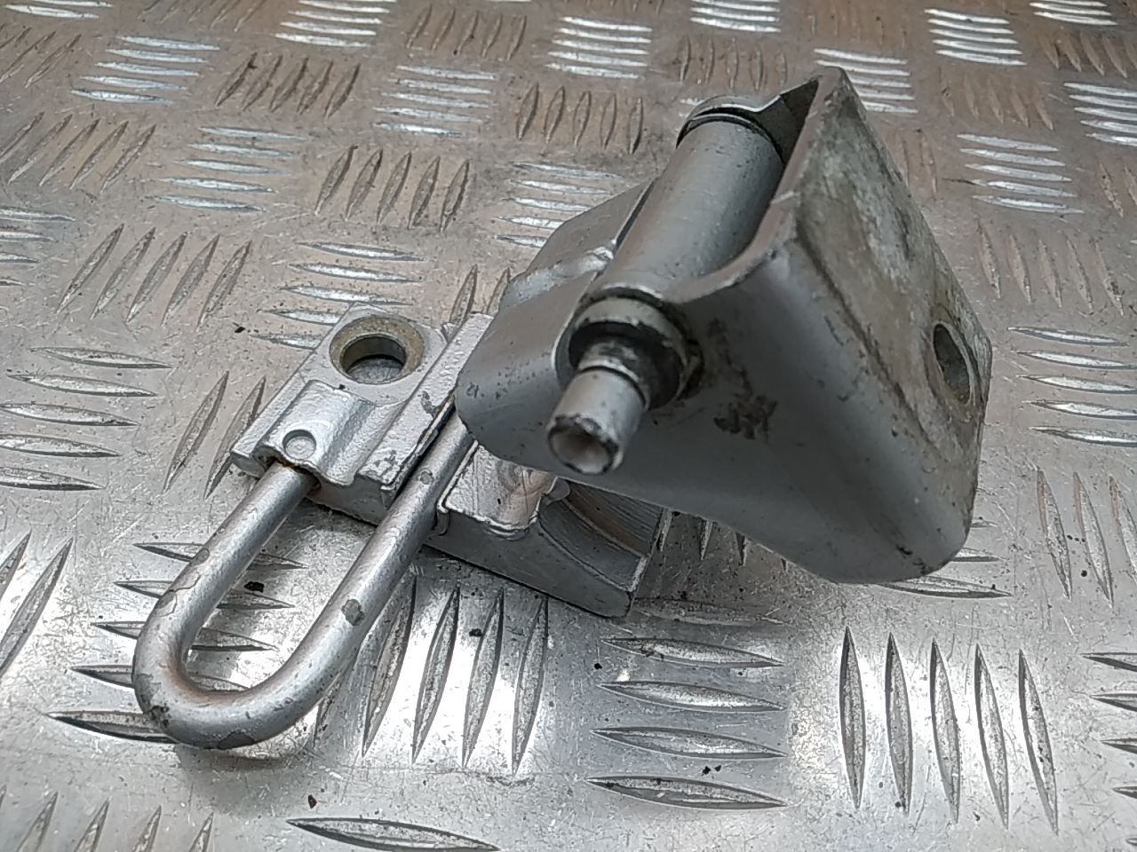 Петля двери задней левой нижняя