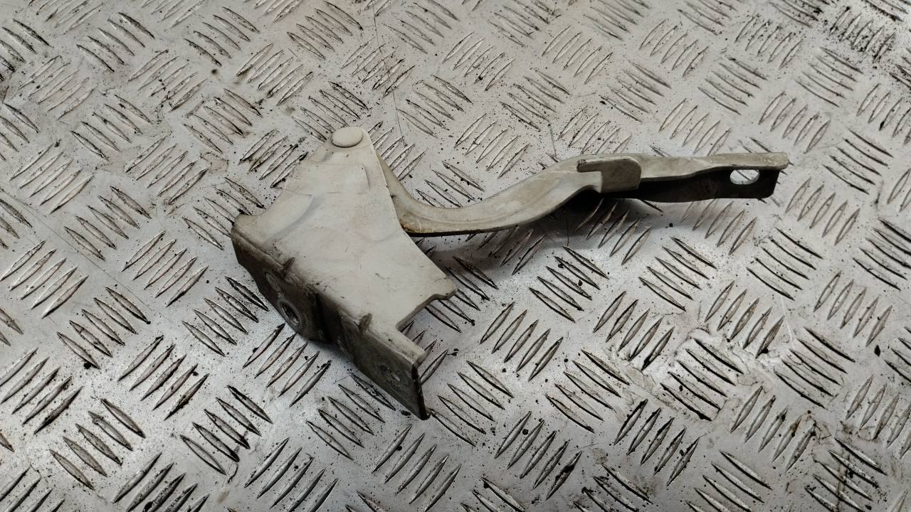 Петля капота правая