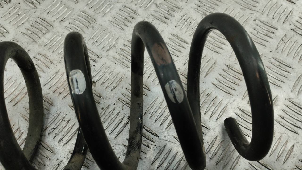 Пружина задняя