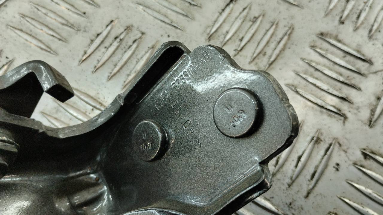 Петля двери задней правой нижняя