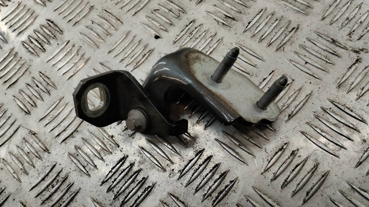 Петля двери задней правой нижняя