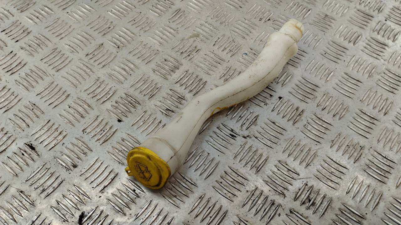 Горловина бачка омывателя