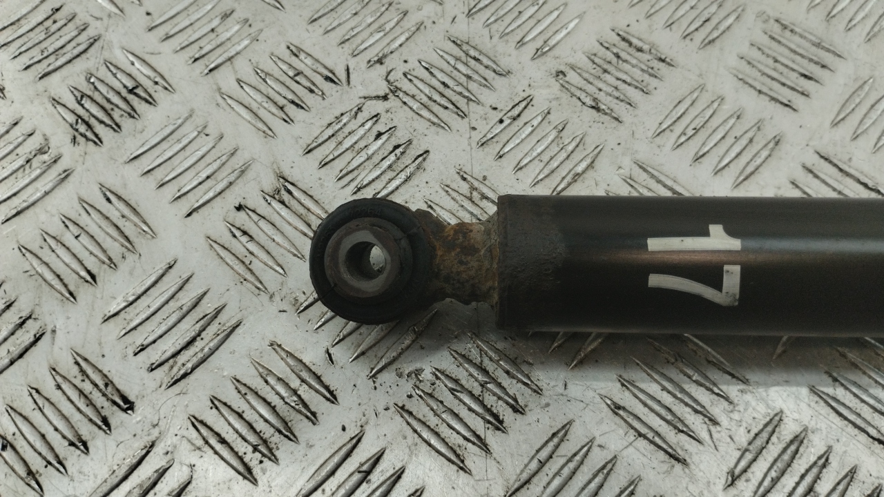 Амортизатор задний (стойка)