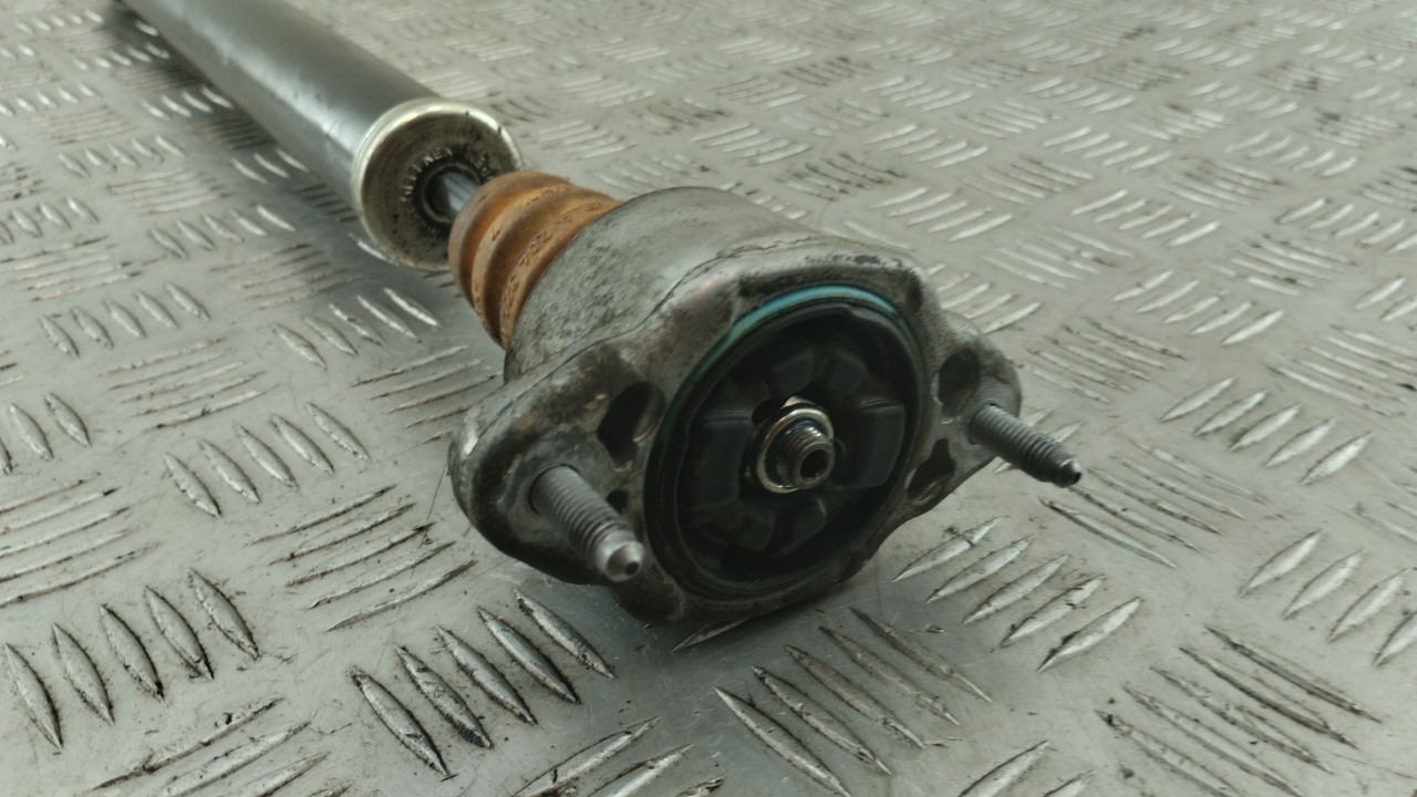 Амортизатор задний (стойка)