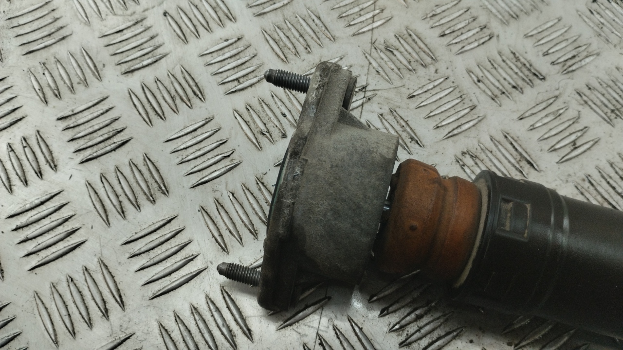 Амортизатор задний (стойка)