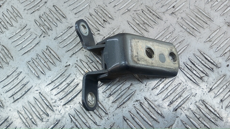 Петля двери задней правой нижняя