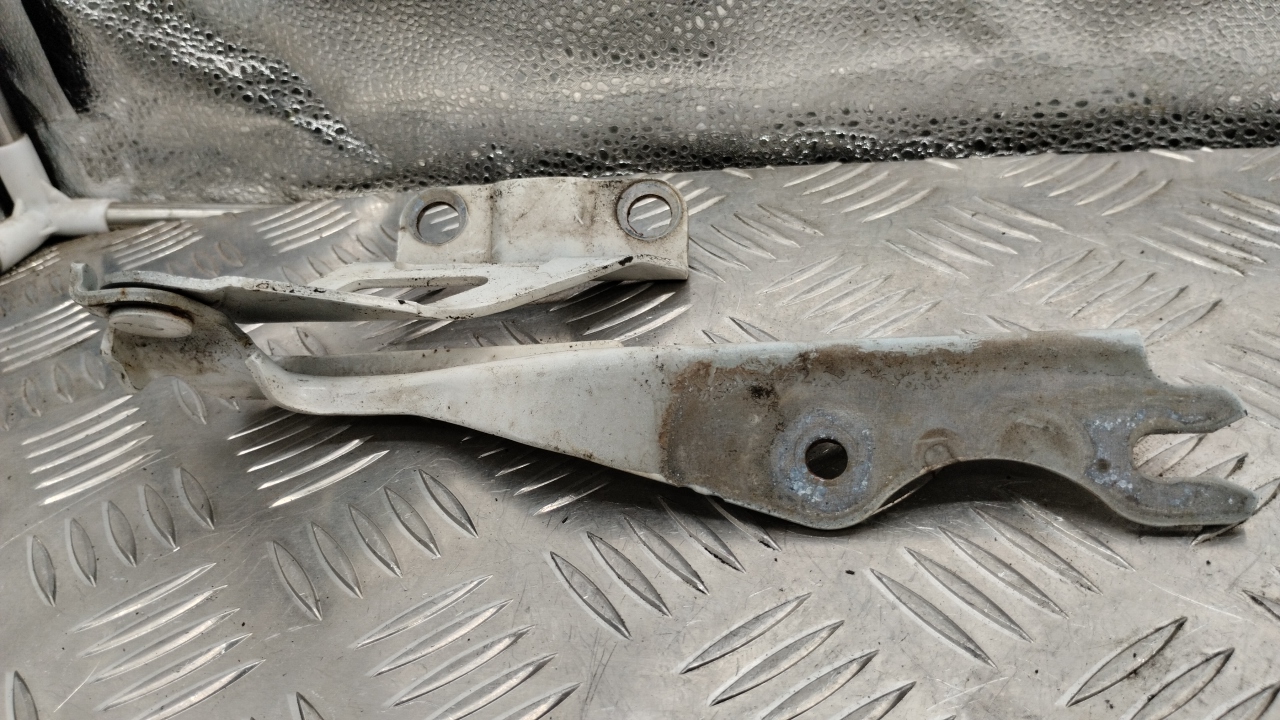 Петля капота левая