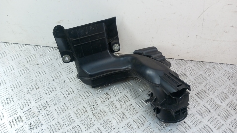 Воздухозаборник (внутри)