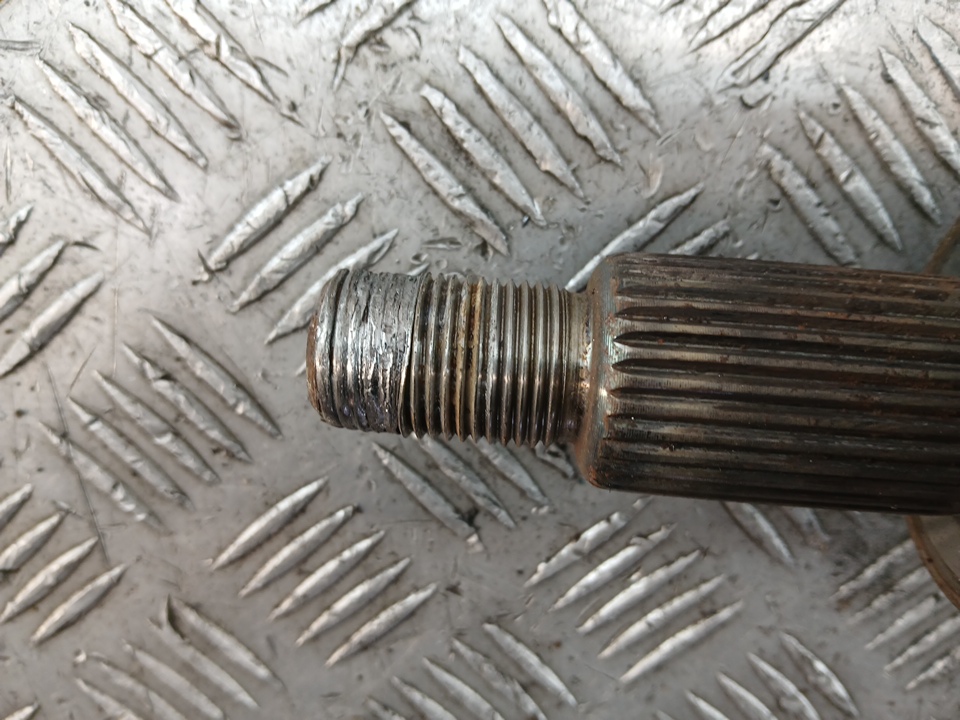 thumb