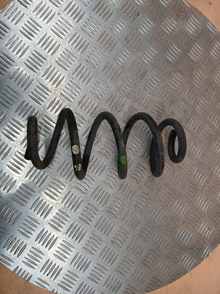 Пружина задняя