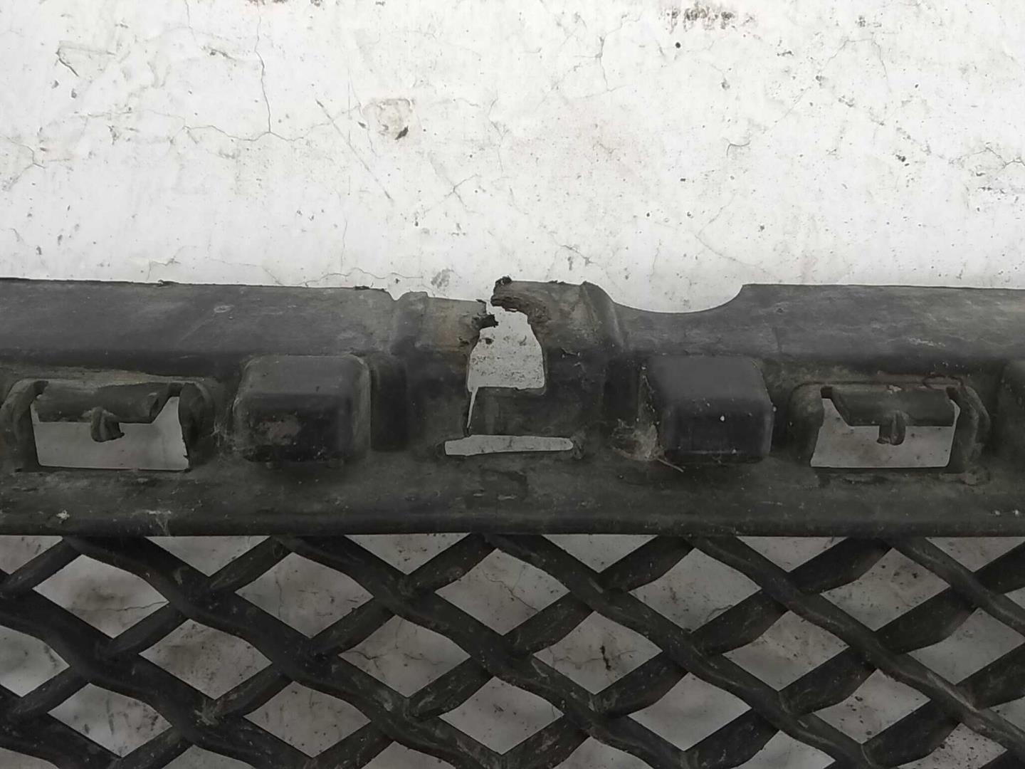 Решетка в бампер центральная