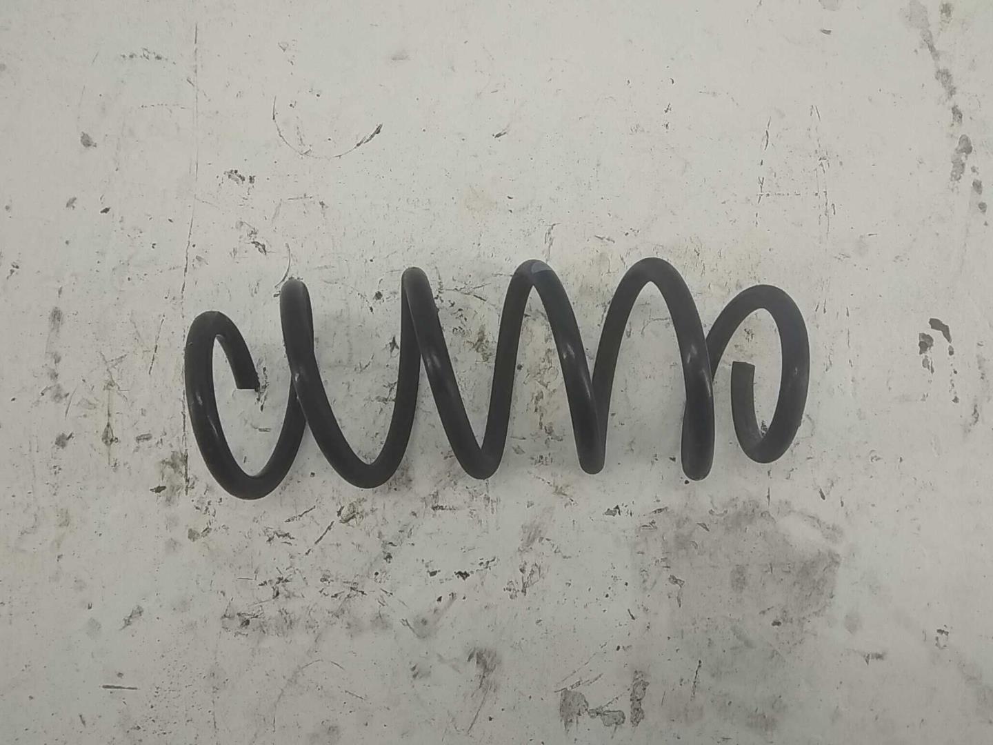 Пружина задняя